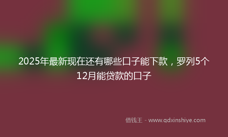 2025年最新现在还有哪些口子能下款，罗列5个12月能贷款的口子