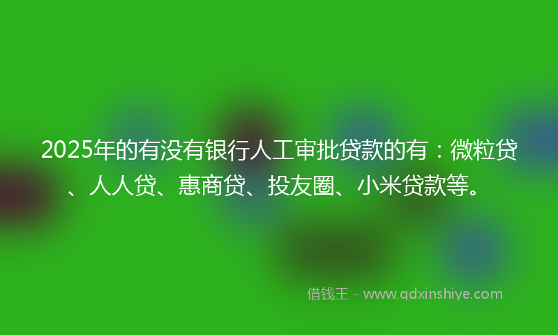 2025年的有没有银行人工审批贷款的有：微粒贷、人人贷、惠商贷、投友圈、小米贷款等。