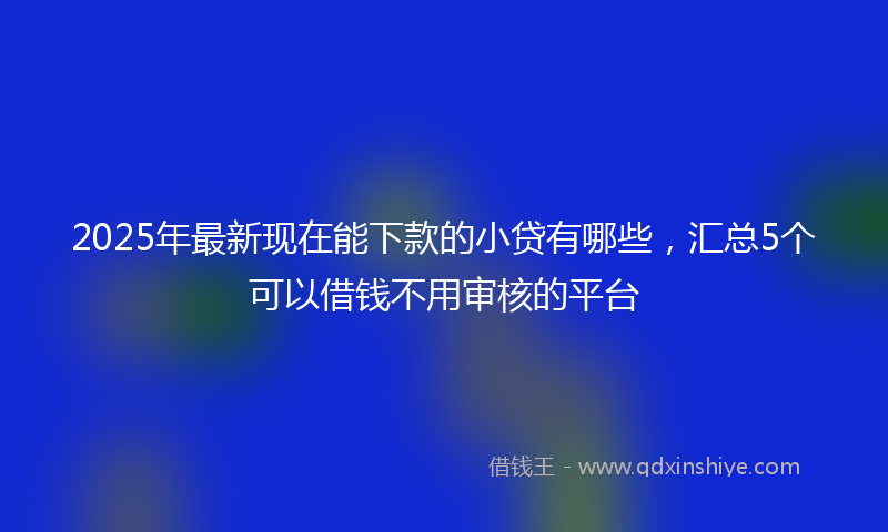 2025年最新现在能下款的小贷有哪些，汇总5个可以借钱不用审核的平台