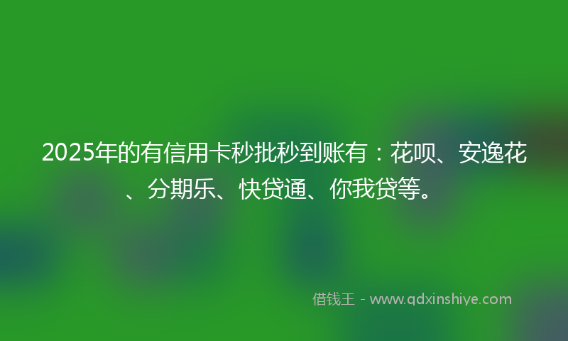 2025年的有信用卡秒批秒到账有：花呗、安逸花、分期乐、快贷通、你我贷等。