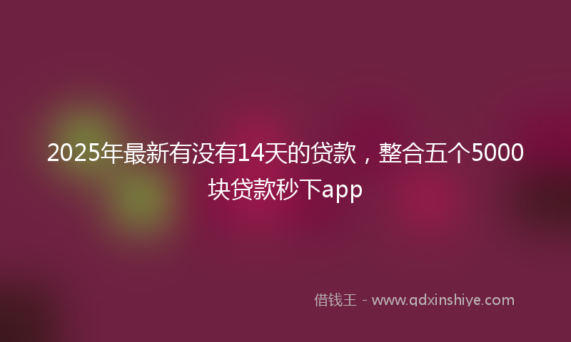2025年最新有没有14天的贷款，整合五个5000块贷款秒下app