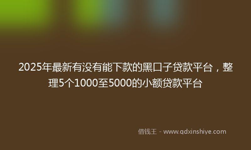 2025年最新有没有能下款的黑口子贷款平台，整理5个1000至5000的小额贷款平台