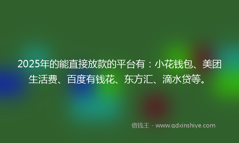 2025年的能直接放款的平台有：小花钱包、美团生活费、百度有钱花、东方汇、滴水贷等。