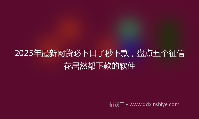 2025年最新网贷必下口子秒下款，盘点五个征信花居然都下款的软件