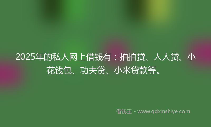 2025年的私人网上借钱有：拍拍贷、人人贷、小花钱包、功夫贷、小米贷款等。