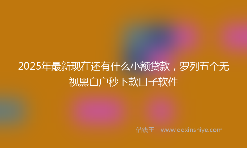 2025年最新现在还有什么小额贷款，罗列五个无视黑白户秒下款口子软件