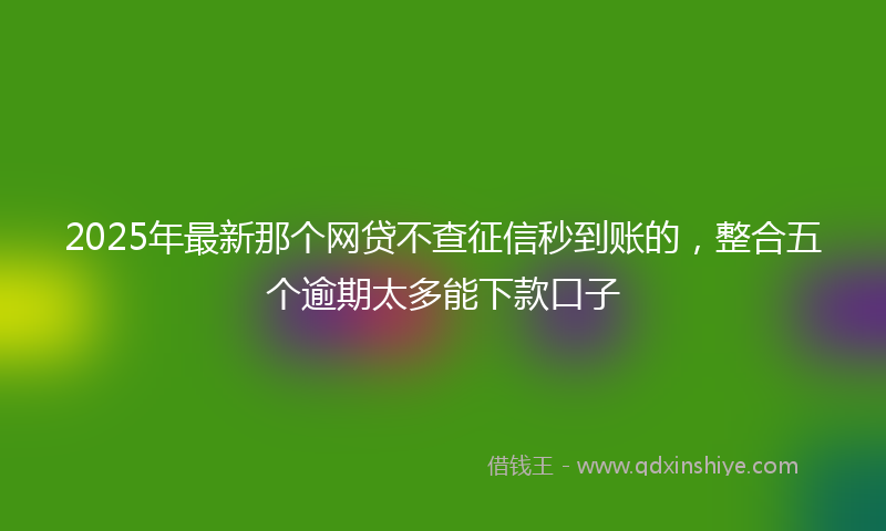 2025年最新那个网贷不查征信秒到账的，整合五个逾期太多能下款口子