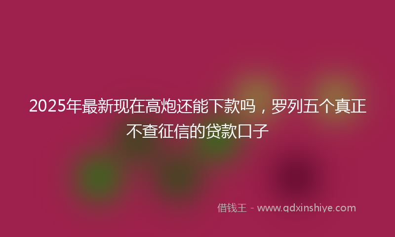 2025年最新现在高炮还能下款吗，罗列五个真正不查征信的贷款口子