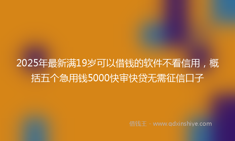 2025年最新满19岁可以借钱的软件不看信用，概括五个急用钱5000快审快贷无需征信口子