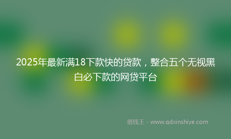 2025年最新满18下款快的贷款，整合五个无视黑白必下款的网贷平台