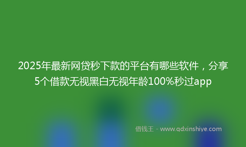 2025年最新网贷秒下款的平台有哪些软件，分享5个借款无视黑白无视年龄100%秒过app