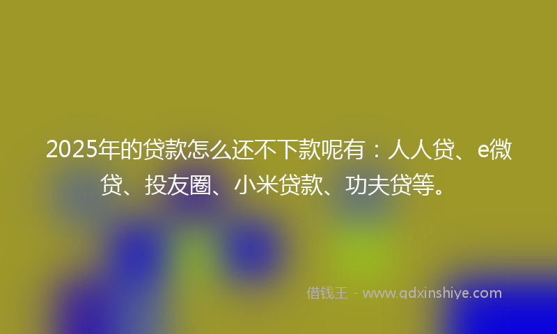 2025年的贷款怎么还不下款呢有：人人贷、e微贷、投友圈、小米贷款、功夫贷等。