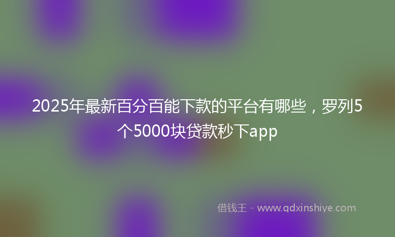 2025年最新百分百能下款的平台有哪些，罗列5个5000块贷款秒下app