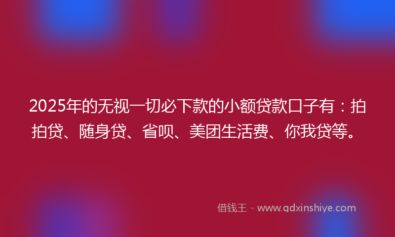 2025年的无视一切必下款的小额贷款口子有：拍拍贷、随身贷、省呗、美团生活费、你我贷等。
