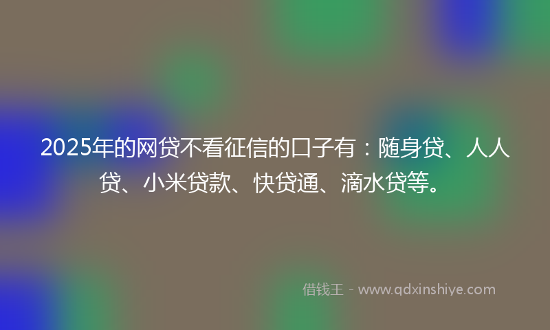 2025年的网贷不看征信的口子有：随身贷、人人贷、小米贷款、快贷通、滴水贷等。