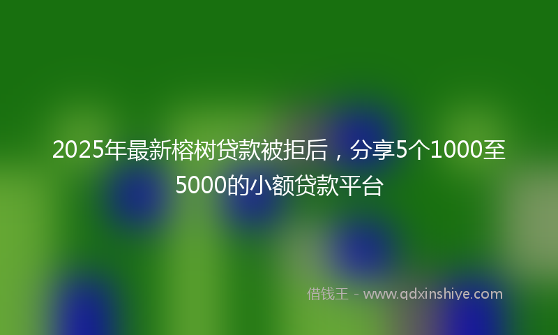2025年最新榕树贷款被拒后，分享5个1000至5000的小额贷款平台