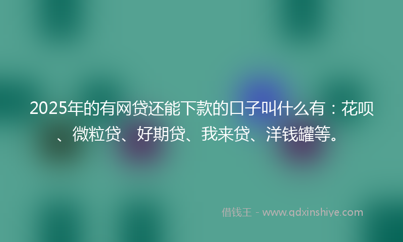 2025年的有网贷还能下款的口子叫什么有：花呗、微粒贷、好期贷、我来贷、洋钱罐等。