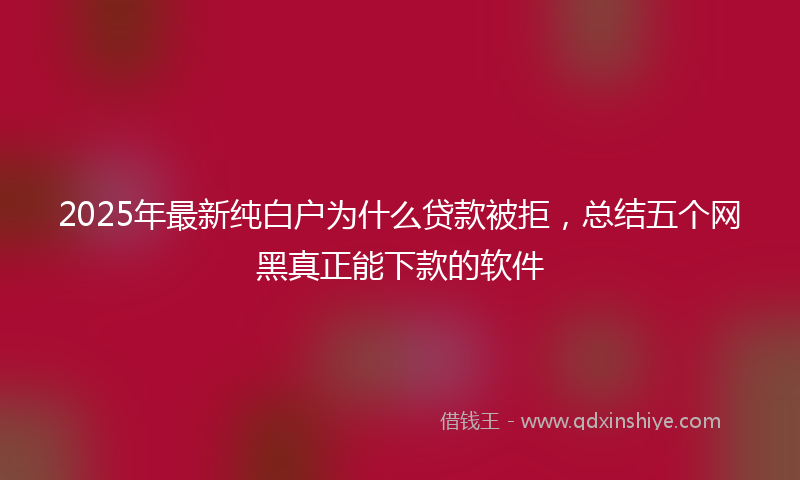 2025年最新纯白户为什么贷款被拒，总结五个网黑真正能下款的软件