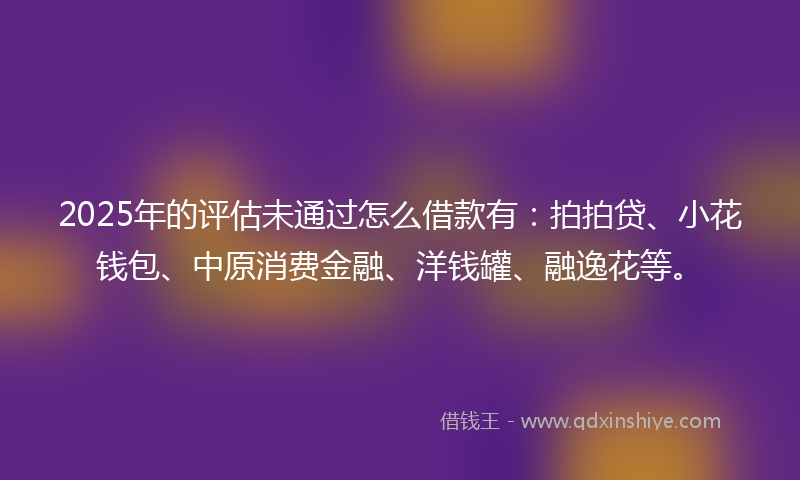 2025年的评估未通过怎么借款有：拍拍贷、小花钱包、中原消费金融、洋钱罐、融逸花等。