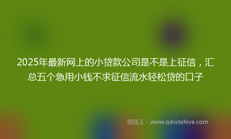 2025年最新网上的小贷款公司是不是上征信，汇总五个急用小钱不求征信流水轻松贷的口子