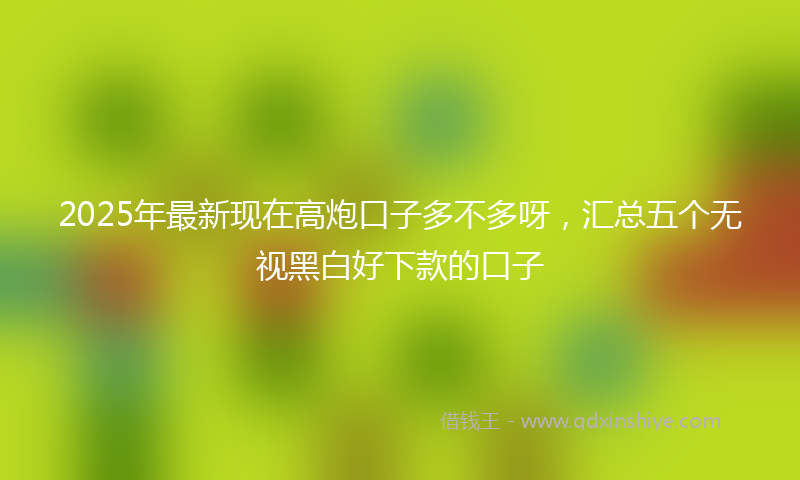 2025年最新现在高炮口子多不多呀，汇总五个无视黑白好下款的口子