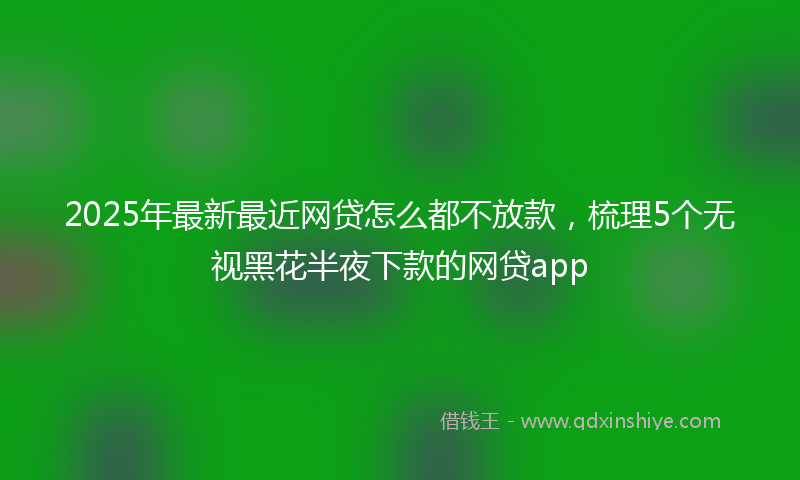 2025年最新最近网贷怎么都不放款，梳理5个无视黑花半夜下款的网贷app