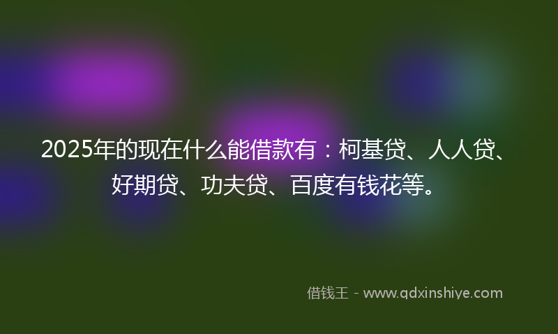 2025年的现在什么能借款有：柯基贷、人人贷、好期贷、功夫贷、百度有钱花等。