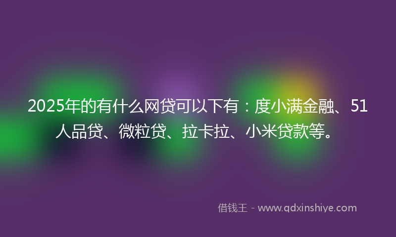 2025年的有什么网贷可以下有：度小满金融、51人品贷、微粒贷、拉卡拉、小米贷款等。