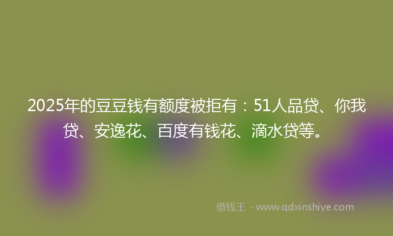 2025年的豆豆钱有额度被拒有：51人品贷、你我贷、安逸花、百度有钱花、滴水贷等。