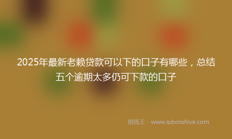 2025年最新老赖贷款可以下的口子有哪些,总结五个逾期太多仍可下款的口子