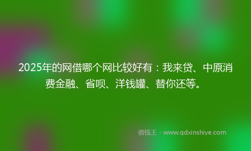 2025年的网借哪个网比较好有：我来贷、中原消费金融、省呗、洋钱罐、替你还等。
