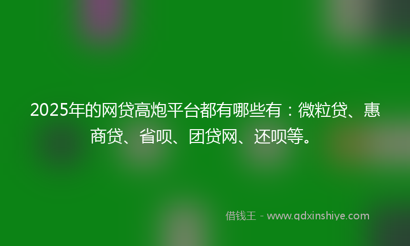 2025年的网贷高炮平台都有哪些有：微粒贷、惠商贷、省呗、团贷网、还呗等。