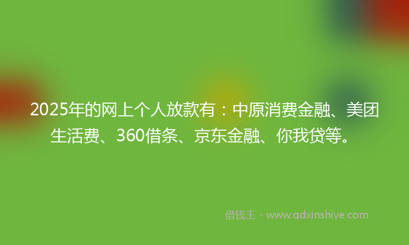 2025年的网上个人放款有：中原消费金融、美团生活费、360借条、京东金融、你我贷等。