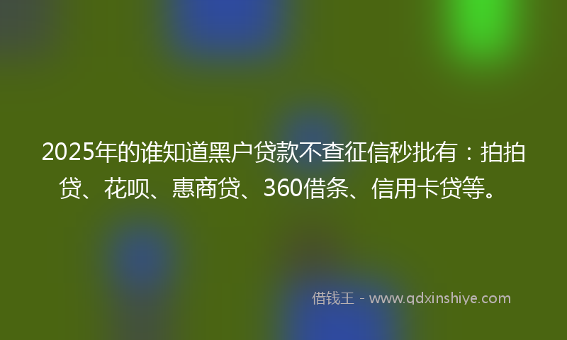 2025年的谁知道黑户贷款不查征信秒批有：拍拍贷、花呗、惠商贷、360借条、信用卡贷等。