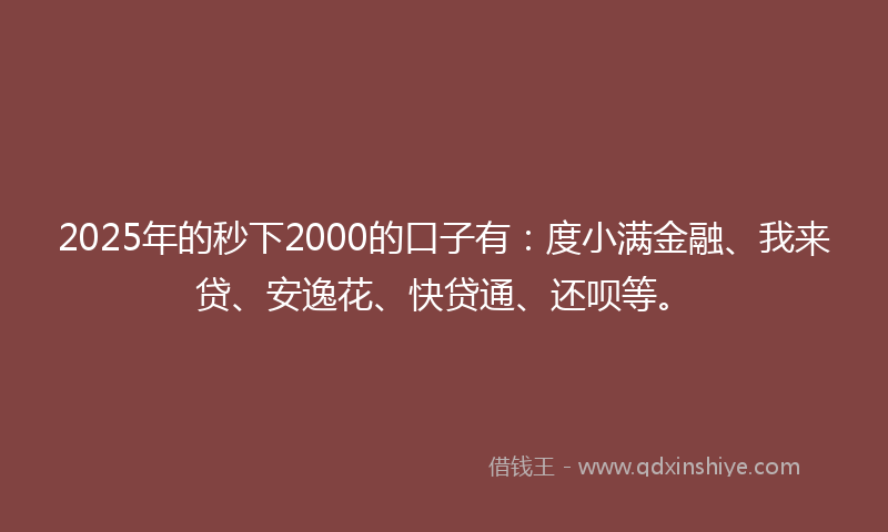 2025年的秒下2000的口子有：度小满金融、我来贷、安逸花、快贷通、还呗等。