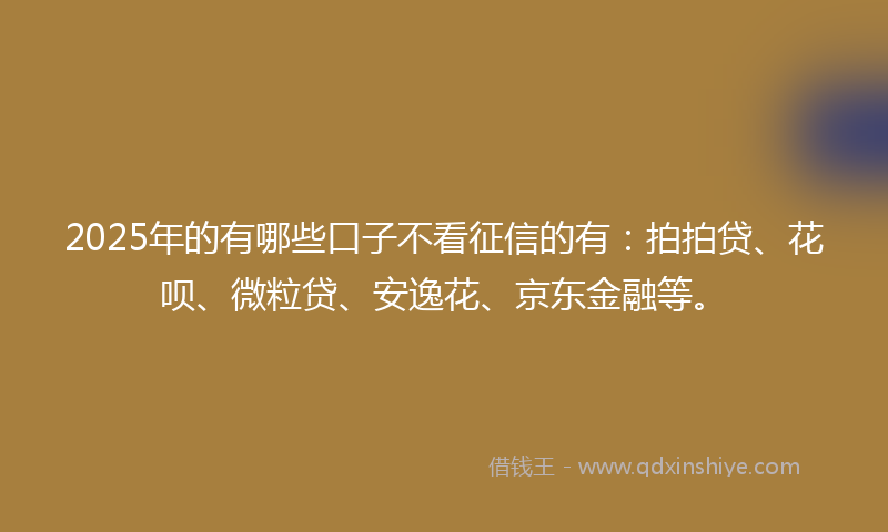 2025年的有哪些口子不看征信的有：拍拍贷、花呗、微粒贷、安逸花、京东金融等。