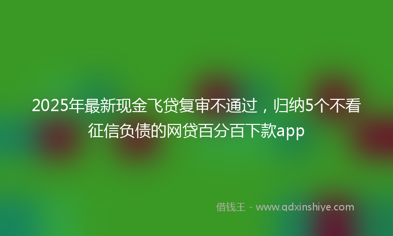 2025年最新现金飞贷复审不通过，归纳5个不看征信负债的网贷百分百下款app