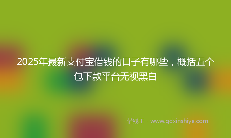 2025年最新支付宝借钱的口子有哪些，概括五个包下款平台无视黑白