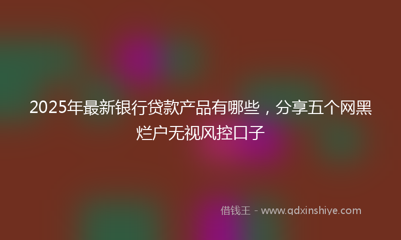 2025年最新银行贷款产品有哪些，分享五个网黑烂户无视风控口子