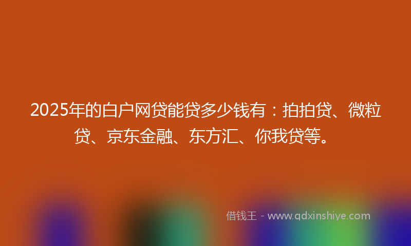 2025年的白户网贷能贷多少钱有：拍拍贷、微粒贷、京东金融、东方汇、你我贷等。