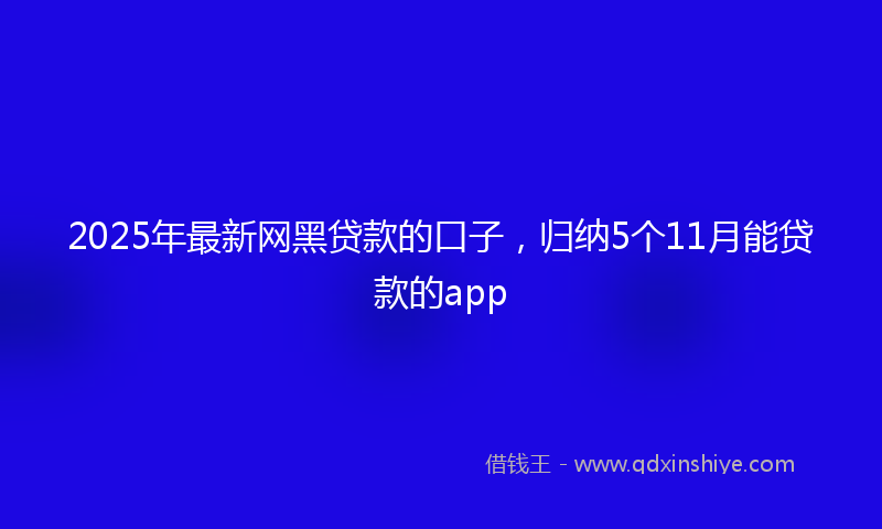 2025年最新网黑贷款的口子，归纳5个11月能贷款的app