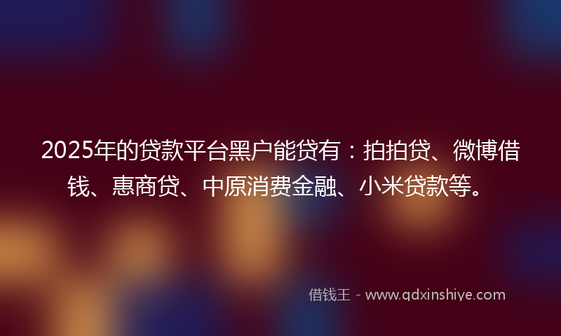 2025年的贷款平台黑户能贷有：拍拍贷、微博借钱、惠商贷、中原消费金融、小米贷款等。