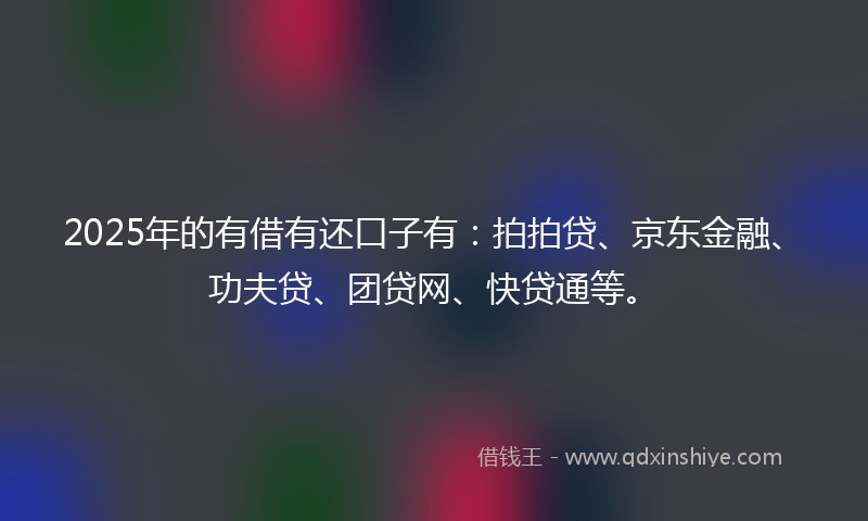 2025年的有借有还口子有：拍拍贷、京东金融、功夫贷、团贷网、快贷通等。