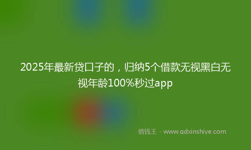 2025年最新贷口子的，归纳5个借款无视黑白无视年龄100%秒过app