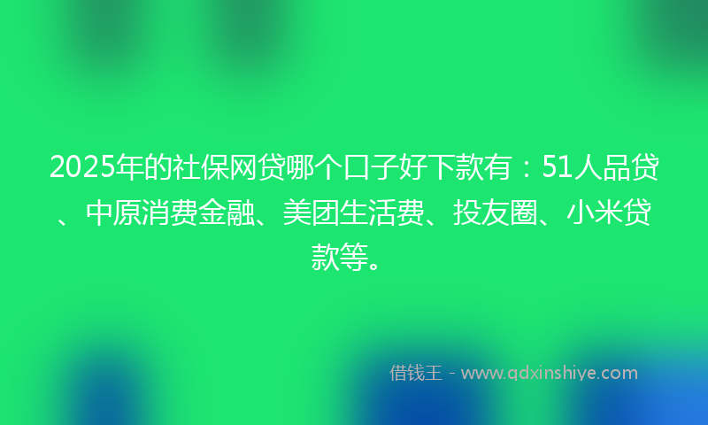 2025年的社保网贷哪个口子好下款有：51人品贷、中原消费金融、美团生活费、投友圈、小米贷款等。