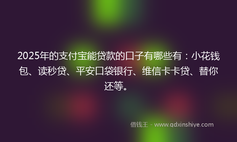 2025年的支付宝能贷款的口子有哪些有：小花钱包、读秒贷、平安口袋银行、维信卡卡贷、替你还等。