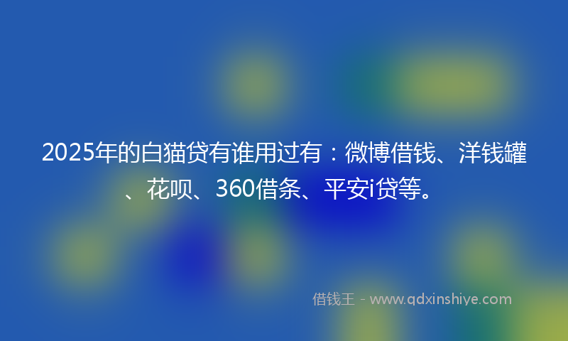 2025年的白猫贷有谁用过有：微博借钱、洋钱罐、花呗、360借条、平安i贷等。