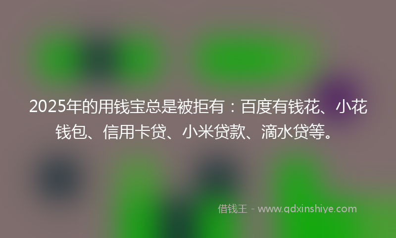 2025年的用钱宝总是被拒有：百度有钱花、小花钱包、信用卡贷、小米贷款、滴水贷等。