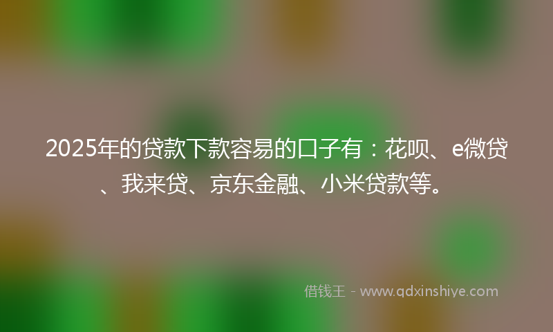 2025年的贷款下款容易的口子有：花呗、e微贷、我来贷、京东金融、小米贷款等。