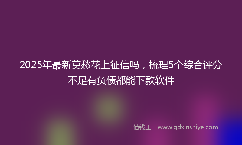 2025年最新莫愁花上征信吗，梳理5个综合评分不足有负债都能下款软件